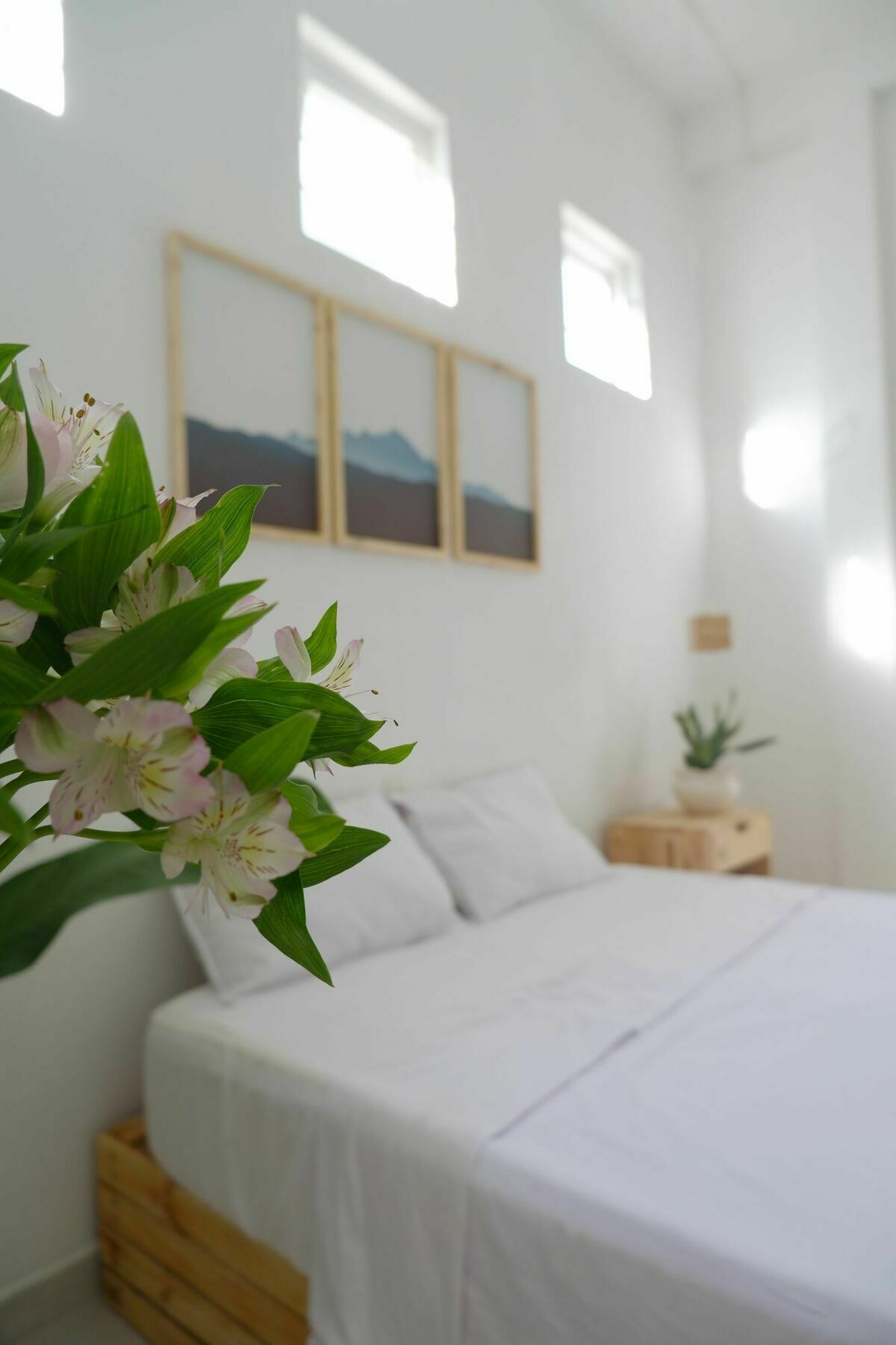 Baobab Homestay Da Nang Exterior foto
